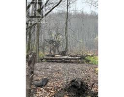 Lot 9 Concession 11 Concession S, Meaford, ON N4K1W1 Photo 9