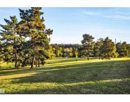 10332 29 St Nw, Edmonton, AB T5W1V4 Photo 53