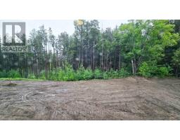 Laundry room - 51 Ruby Ridge, Oro Medonte, ON L0L2E0 Photo 18