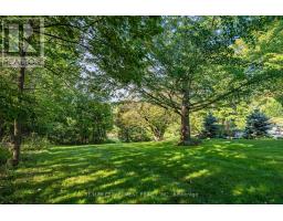 75 Prospect Street, Norfolk, ON N0A1N6 Photo 50