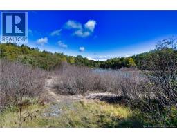 Vacant Lots Swimming Pool Road, Welshpool, NB E5E1H4 Photo 21