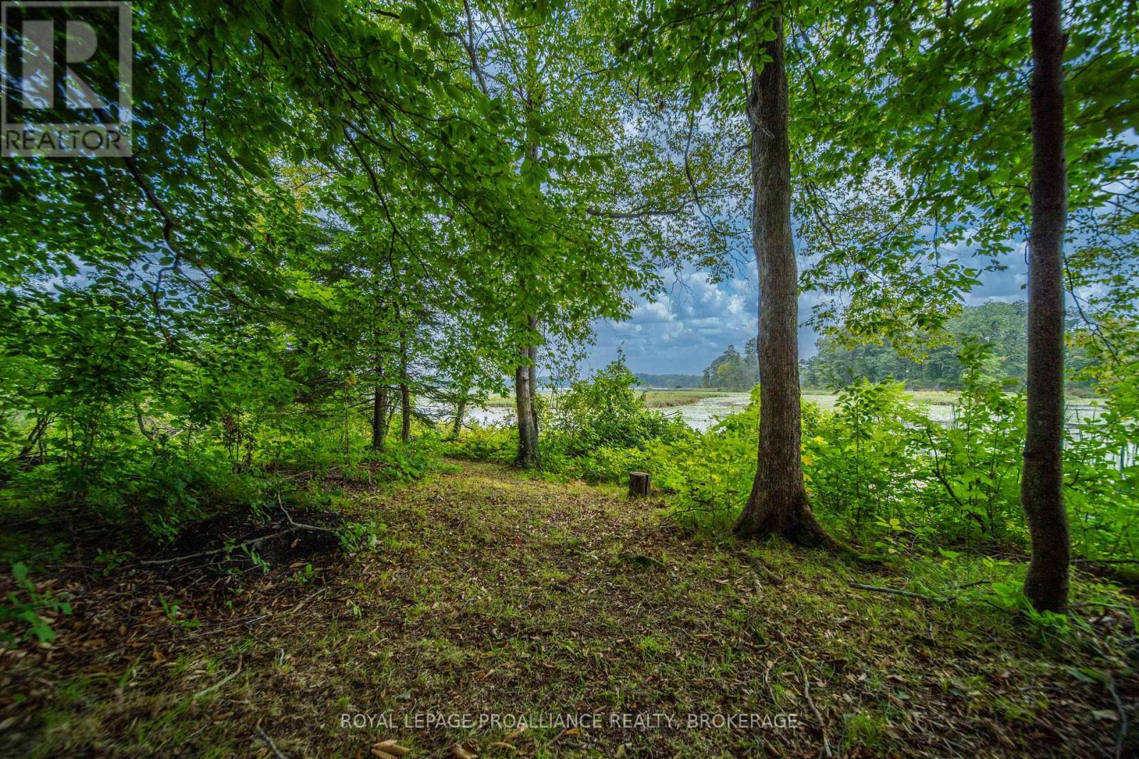 4781 WILMER ROAD - Image 39