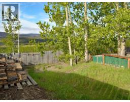 40 Ogilvie Crescent, Faro, YT Y0B1K0 Photo 25