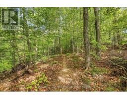 1357 Hetherington Drive, Peterborough, ON K9L1X5 Photo 46