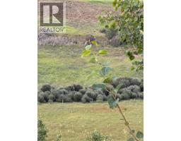 33140 Township Rd 284, Rural Rocky View County, AB T0M1L0 Photo 24