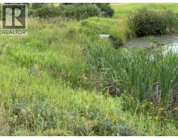33140 Township Rd 284, Rural Rocky View County, AB T0M1L0 Photo 27