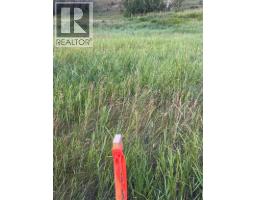 33140 Township Rd 284, Rural Rocky View County, AB T0M1L0 Photo 18