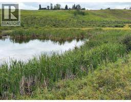 33140 Township Rd 284, Rural Rocky View County, AB T0M1L0 Photo 28