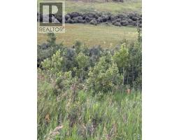 33140 Township Rd 284, Rural Rocky View County, AB T0M1L0 Photo 25
