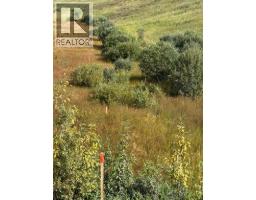33042 Township Rd 284, Rural Rocky View County, AB T0M1L0 Photo 12
