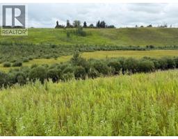 33042 Township Rd 284, Rural Rocky View County, AB T0M1L0 Photo 16