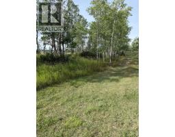33042 Township Rd 284, Rural Rocky View County, AB T0M1L0 Photo 13