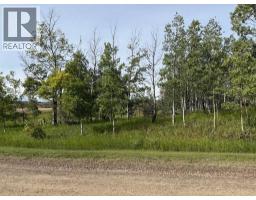33042 Township Rd 284, Rural Rocky View County, AB T0M1L0 Photo 14