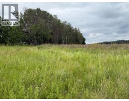 33042 Township Rd 284, Rural Rocky View County, AB T0M1L0 Photo 20
