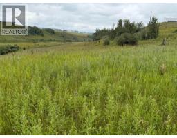 33042 Township Rd 284, Rural Rocky View County, AB T0M1L0 Photo 18