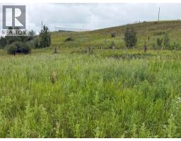33042 Township Rd 284, Rural Rocky View County, AB T0M1L0 Photo 19