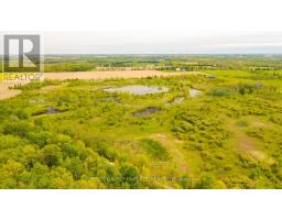 21170 Mayfair Road, Southwest Middlesex, ON N0L1T0 Photo 41