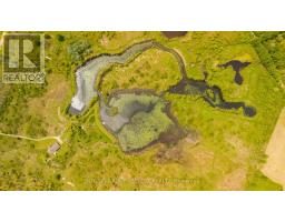 21170 Mayfair Road, Southwest Middlesex, ON N0L1T0 Photo 47