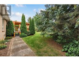 13 Joseph Street, Adjala Tosorontio, ON L0G1L0 Photo 41