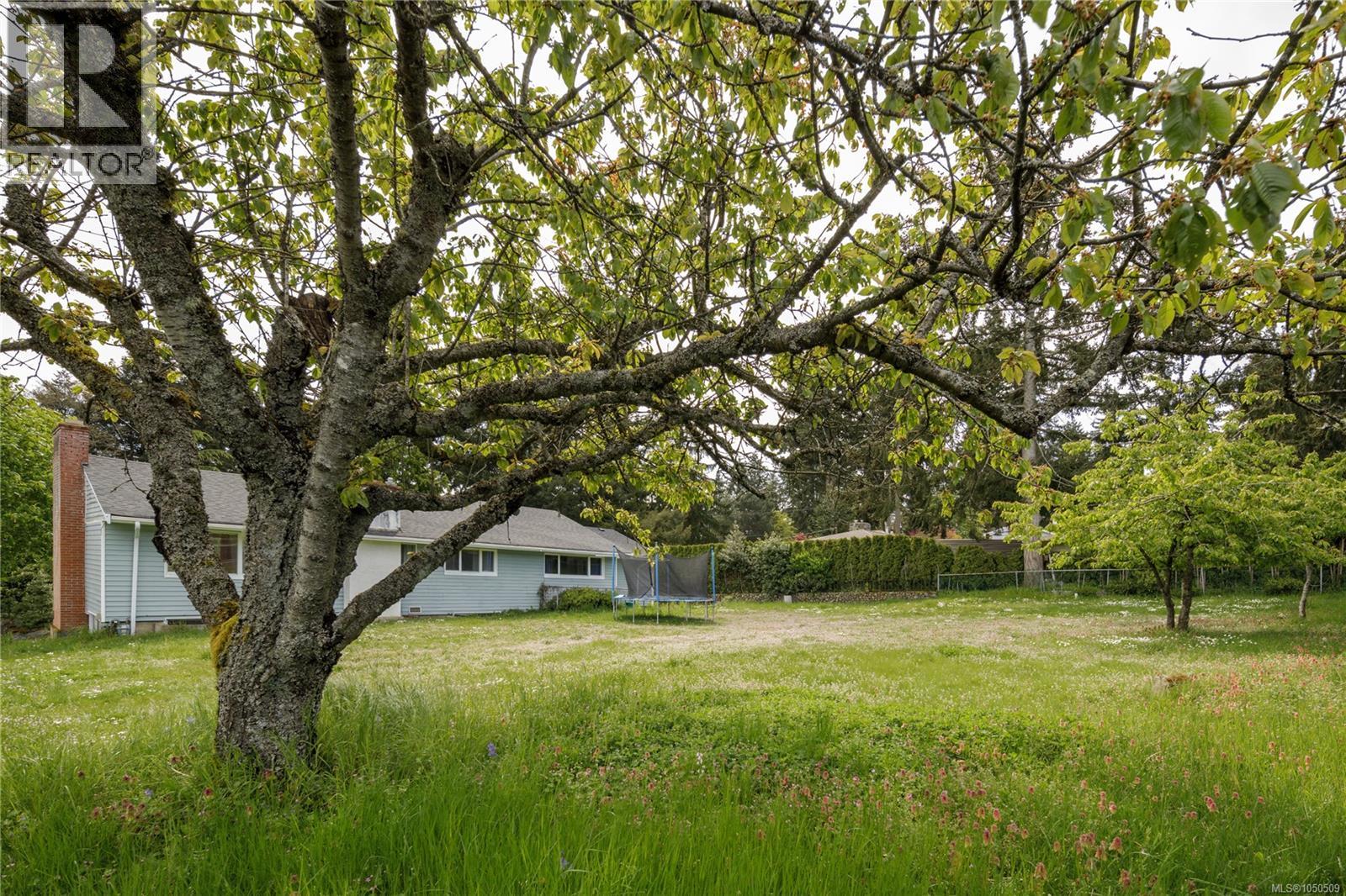2555 Departure Bay Rd - 4