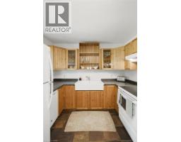 112 Sydenham Street, Brantford, ON N3R3Y6 Photo 30
