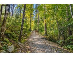 167 Fernway Drive, Port Moody, BC V3H5M1 Photo 33