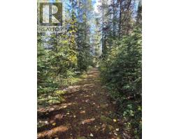 21741 Hamlet Frontage Road, Topley, BC V0J2Y0 Photo 31