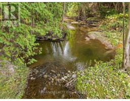 4767 14th Line, New Tecumseth, ON L0L1L0 Photo 48