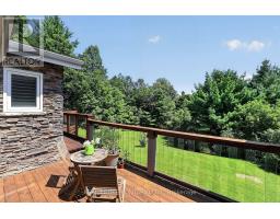 20417 Centre Street, East Gwillimbury, ON L0G1M0 Photo 37