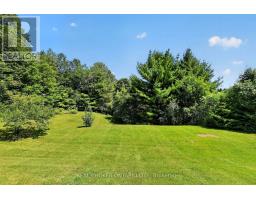 20417 Centre Street, East Gwillimbury, ON L0G1M0 Photo 42