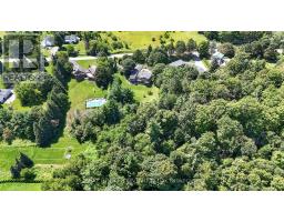 20417 Centre Street, East Gwillimbury, ON L0G1M0 Photo 48