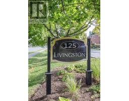 Laundry room - 4 - 125 Livingston Avenue, Grimsby, ON L3M4S5 Photo 11