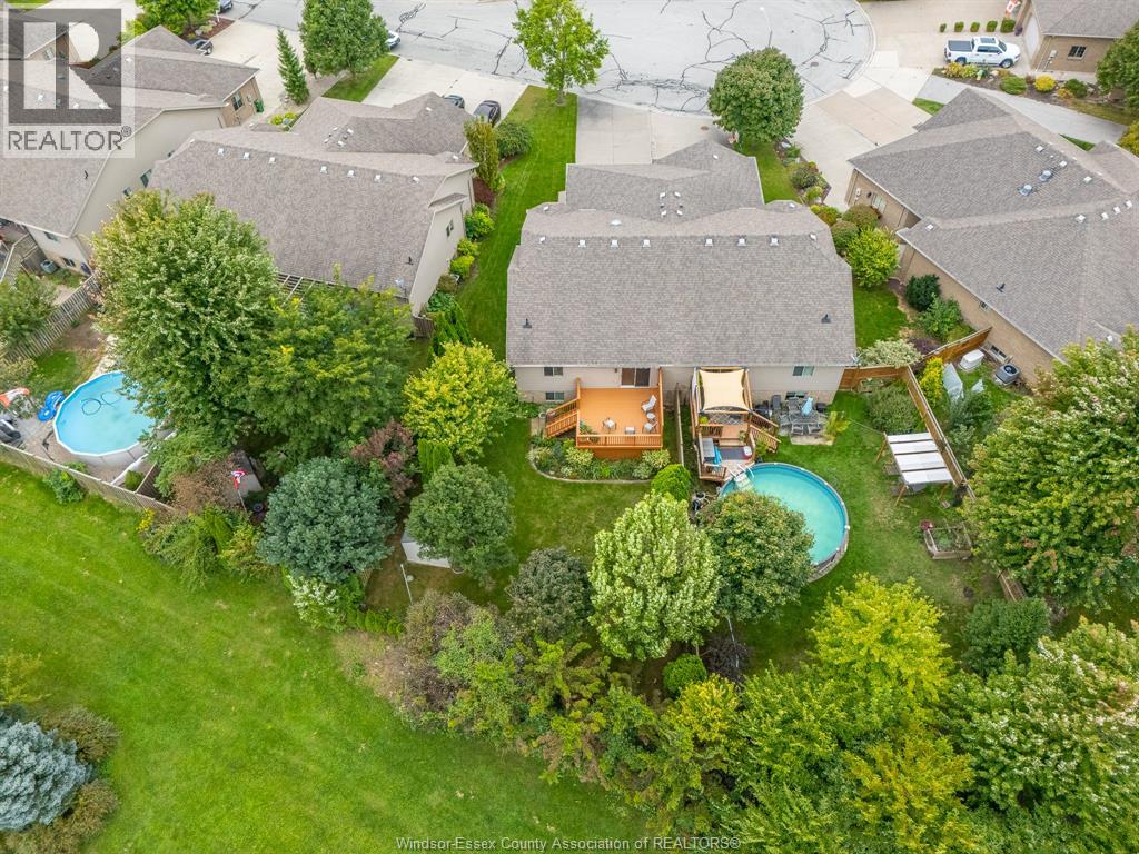 99 Anfred STREET - 4
