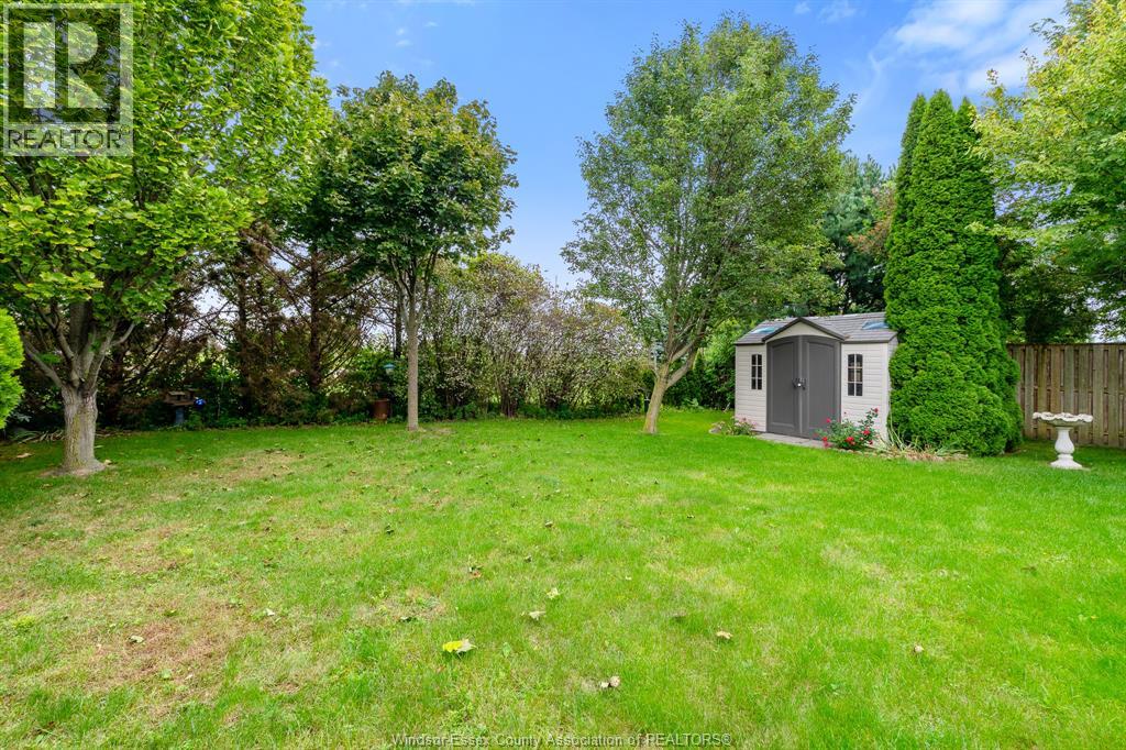 99 Anfred STREET - Image 41