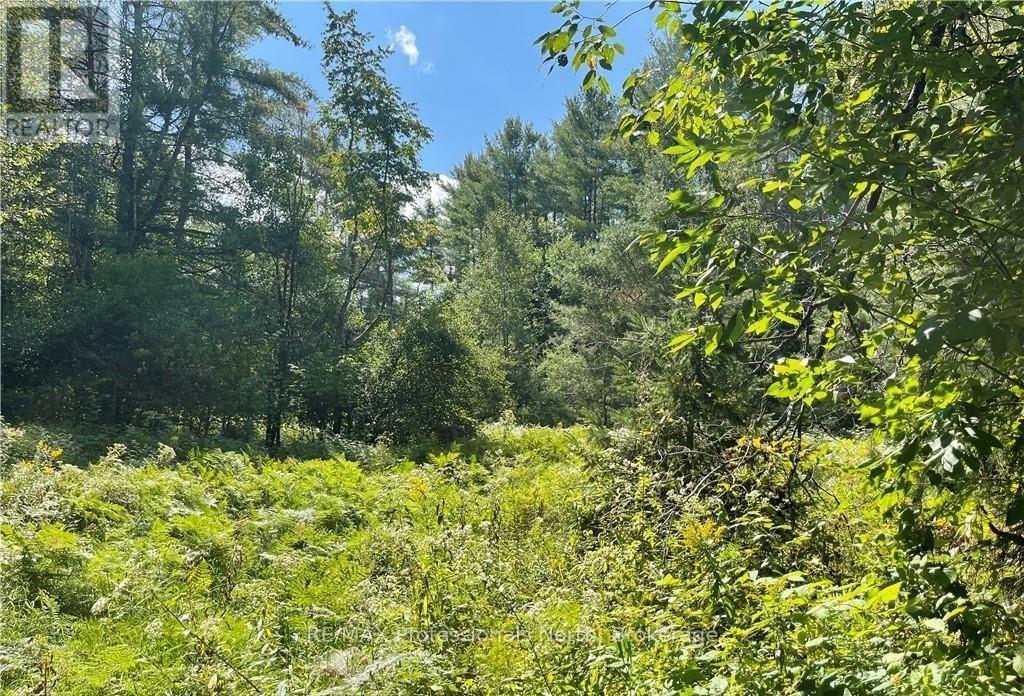 304 Old North Road North — photo 30
