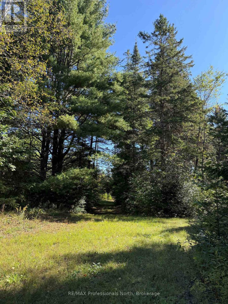 304 Old North Road North — photo 41