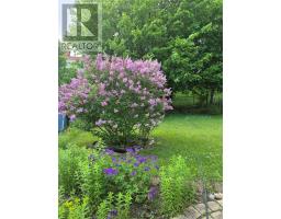 83 West Valley Road thumbnail 15