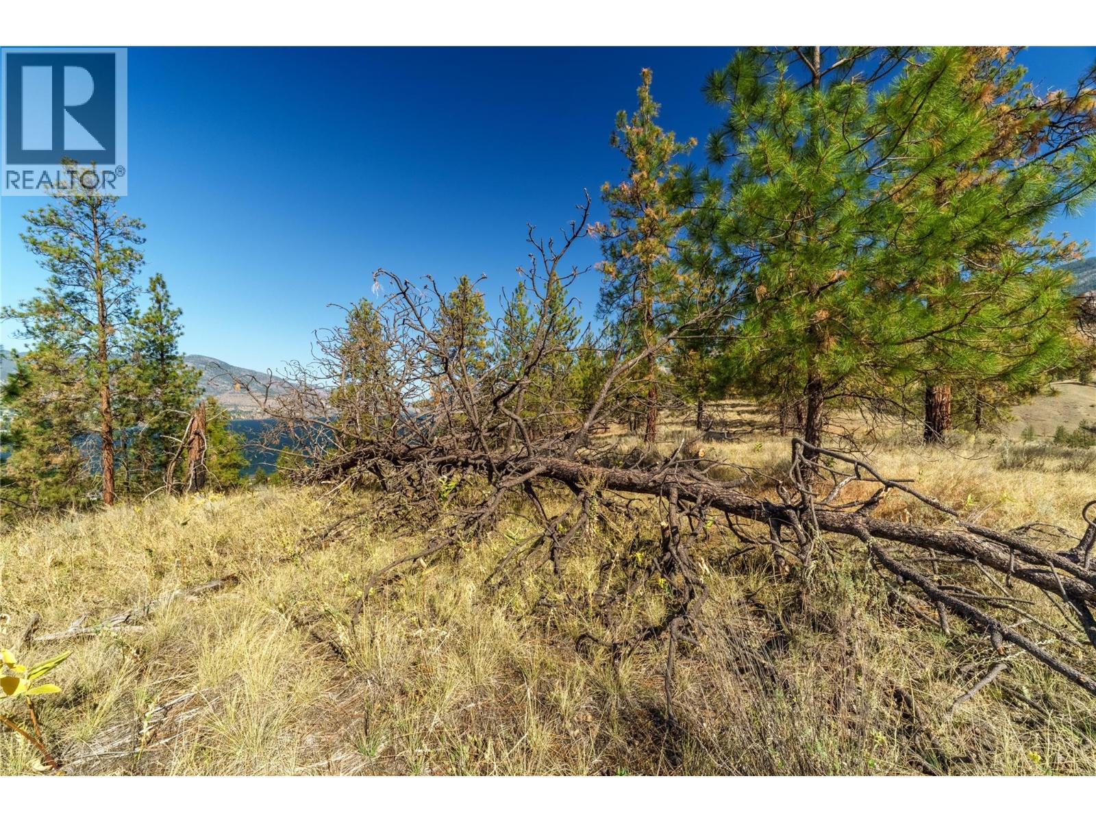  PRPSD LT 1 47 Street, Okanagan Falls