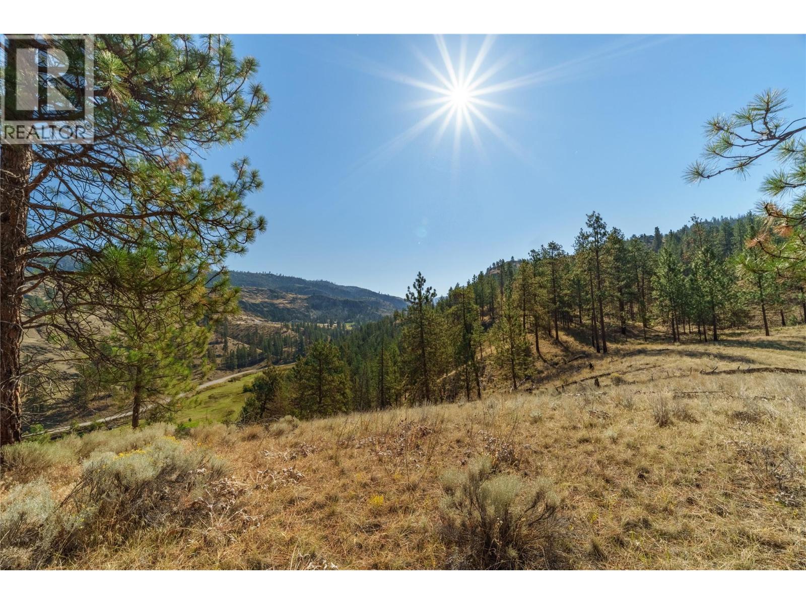  PRPSD LT 1 47 Street, Okanagan Falls