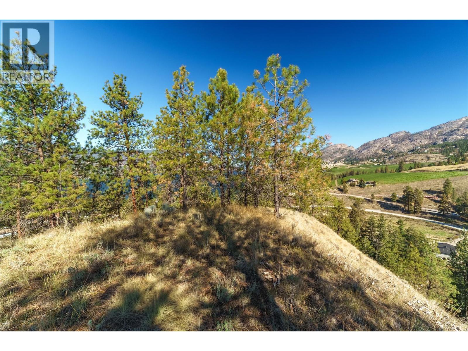  PRPSD LT 1 47 Street, Okanagan Falls