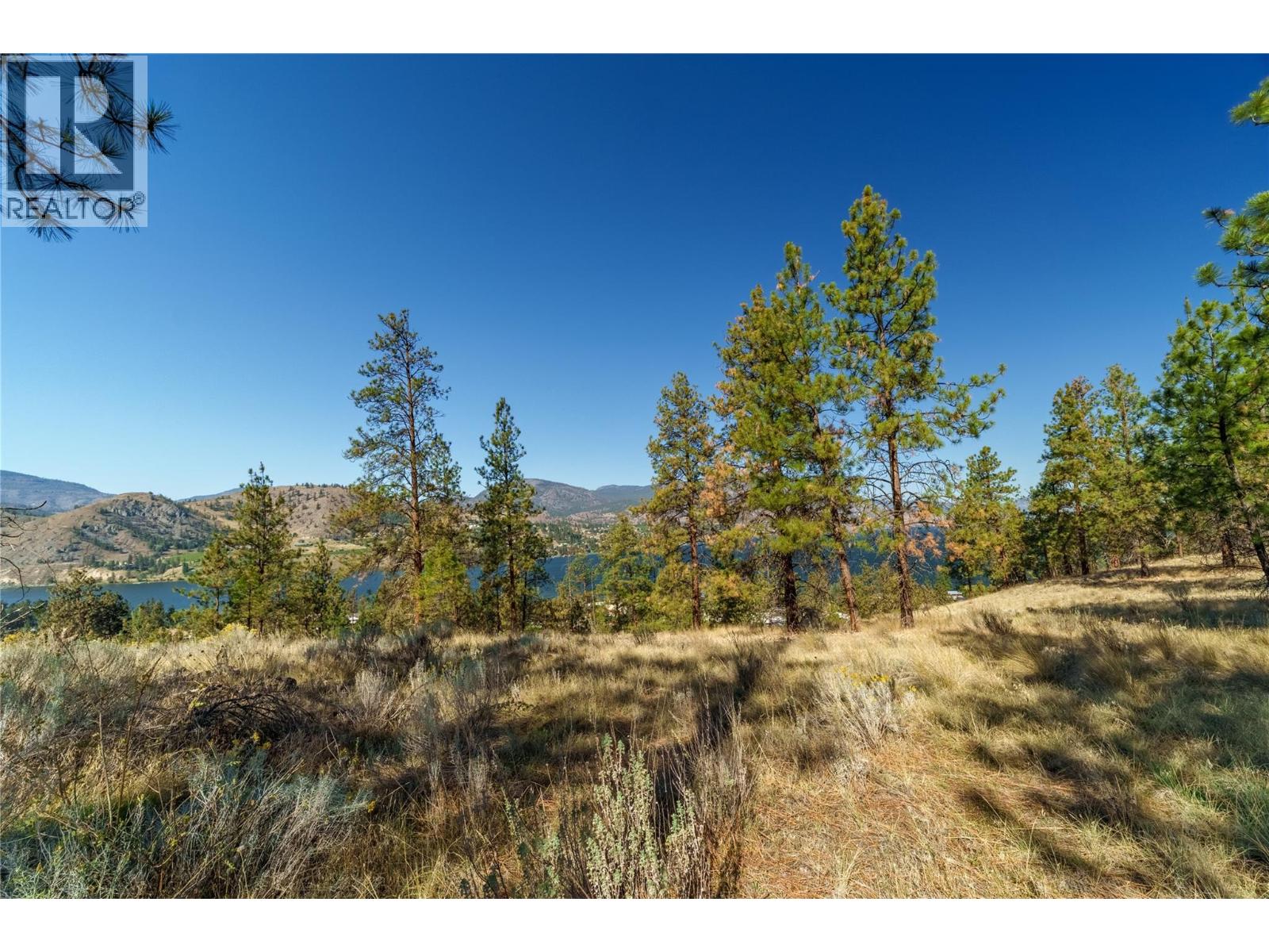  PRPSD LT 1 47 Street, Okanagan Falls