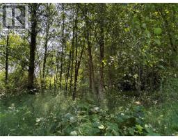 6275 Old East Rd, Central Saanich, BC V8Y1R7 Photo 16