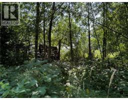 6275 Old East Rd, Central Saanich, BC V8Y1R7 Photo 19