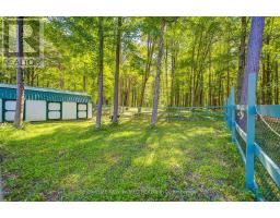 3659 Aurora Road, Whitchurch Stouffville, ON L4A2P9 Photo 50