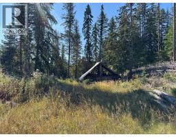 Dl 12547 Loon Lake Road, Ainsworth, BC V0G1A0 Photo 10