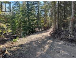 Dl 12547 Loon Lake Road, Ainsworth, BC V0G1A0 Photo 13