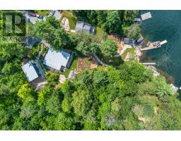 88 Brock Road, North Kawartha, ON K0L1A0 Photo 43