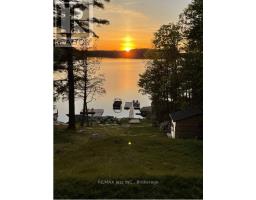 88 Brock Road, North Kawartha, ON K0L1A0 Photo 46