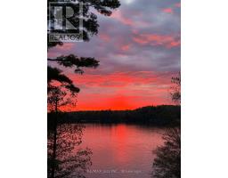88 Brock Road, North Kawartha, ON K0L1A0 Photo 49
