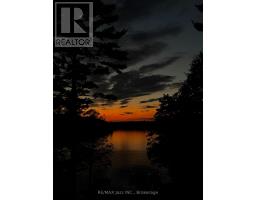 88 Brock Road, North Kawartha, ON K0L1A0 Photo 50
